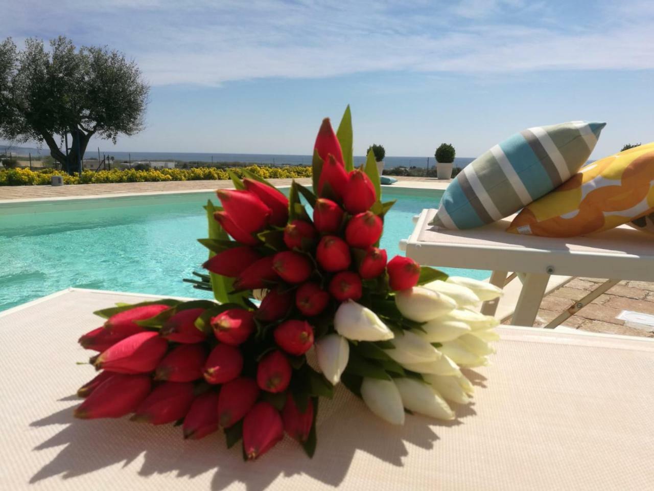 B&B Giglio Marino Salve Bagian luar foto